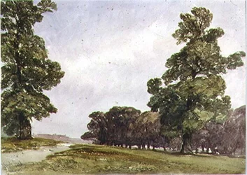 Vue à Hyde Park